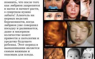 Что если не знала что беременна и пила
