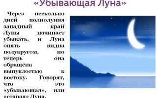 К чему снится пить водку во сне