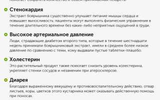 Настойка боярышника как алкогольный напиток
