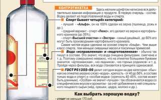 Чем полезна водка и какой вред оказывает