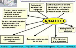 Можно ли принимать Адаптол с алкоголем