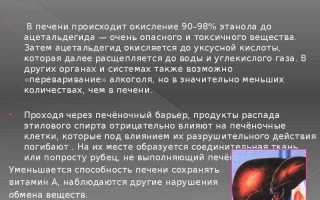 Что будет если бросить пить алкоголь