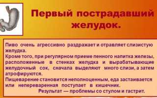 Что лучше пить пиво или водку