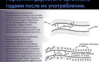 Сколько держатся наркотики в организме человека