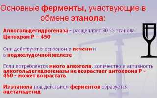 Почему быстро пьянеешь от алкоголя