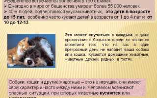 Прививка от бешенства и алкоголь последствия