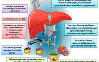 Что лучше Резалют или Эссенциале: сравнение